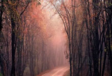 16时,韩德君发声,官宣决定,杨鸣心疼,此前因膝盖伤病退赛.