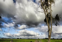 qy球友会体育:15岁道曼若代表阿森纳出战曼联,将打破足总杯正赛最年轻纪录.