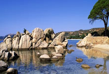 qy球友会体育:2-0!17岁天才再创纪录:勇夺阳光双冠,狂揽332万巨奖!.